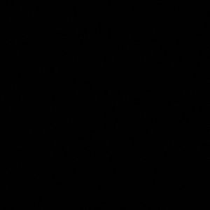 Meet your Posher, Nona